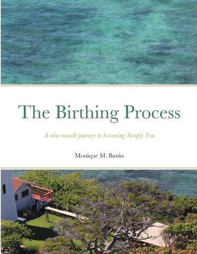 Cover image for The Birthing Process