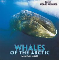 Cover image for Whales of the Arctic