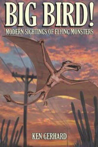 Cover image for Big Bird!: Modern Sightings of Flying Monsters