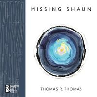 Cover image for Missing Shaun