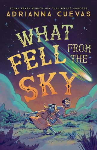 Cover image for What Fell from the Sky