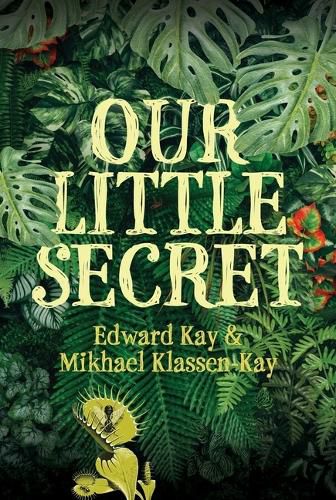 Cover image for Our Little Secret