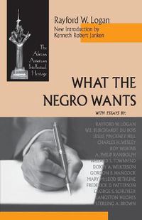 Cover image for What the Negro Wants