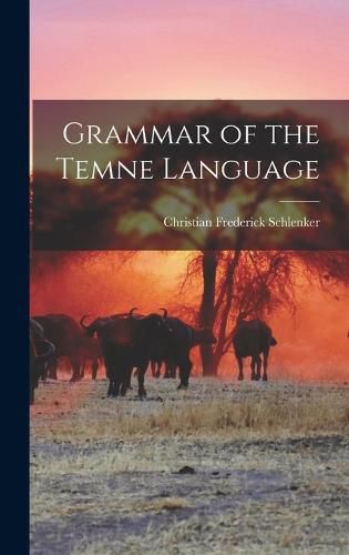 Cover image for Grammar of the Temne Language