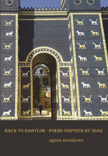 Cover image for Back to Babylon: Poems Inspired by Iraq