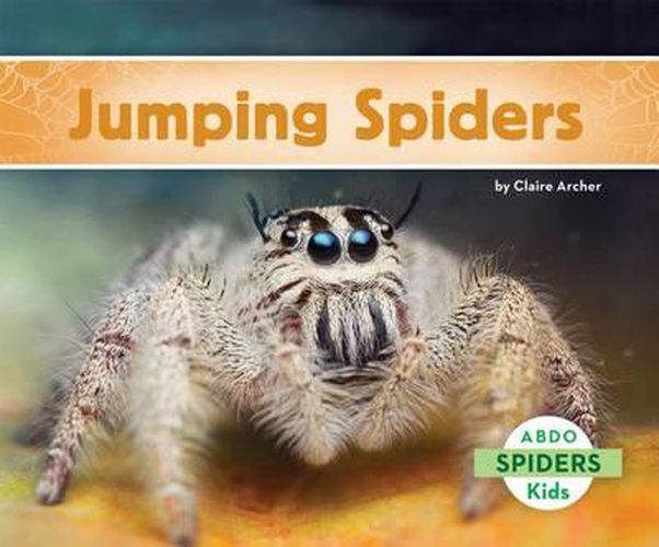 Cover image for Jumping Spiders