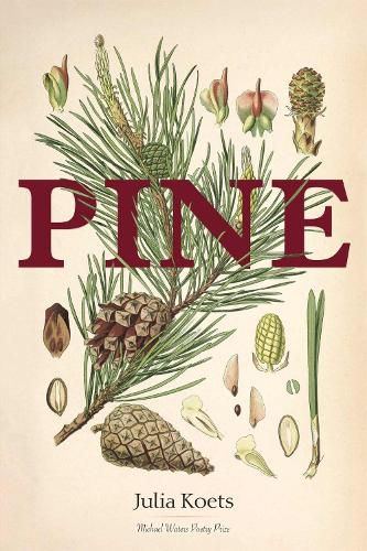 Cover image for Pine