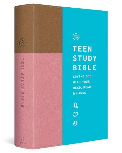 Cover image for ESV Teen Study Bible
