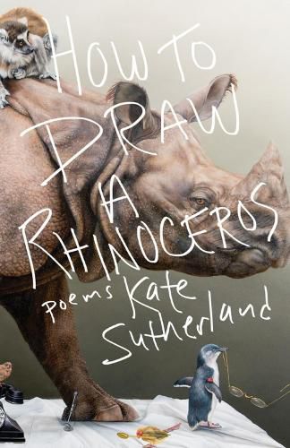 Cover image for How to Draw a Rhinoceros