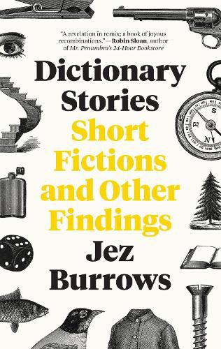 Cover image for Dictionary Stories: Short Fictions and Other Findings