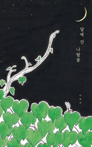 Cover image for Morning Glory on the Moon