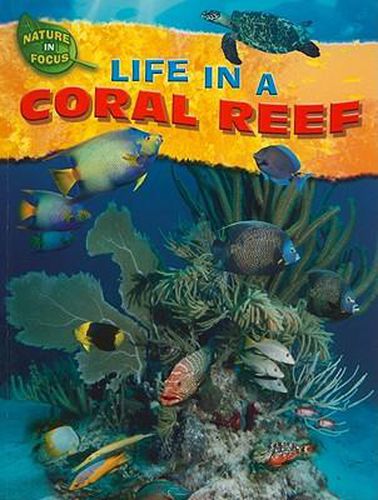 Cover image for Life in a Coral Reef