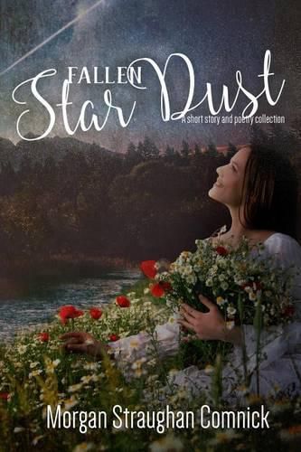 Cover image for Fallen Star Dust