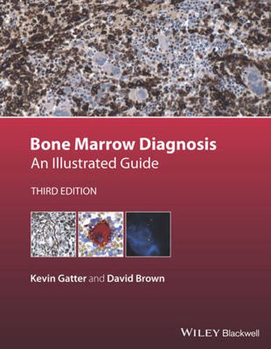 Cover image for Bone Marrow Diagnosis: An Illustrated Guide