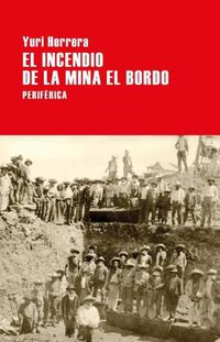 Cover image for El Incendio de la Mina El Bordo