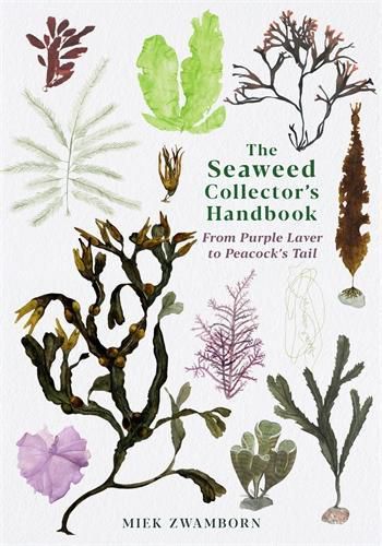 Cover image for The Seaweed Collector's Handbook: From Purple Laver to Peacock's Tail