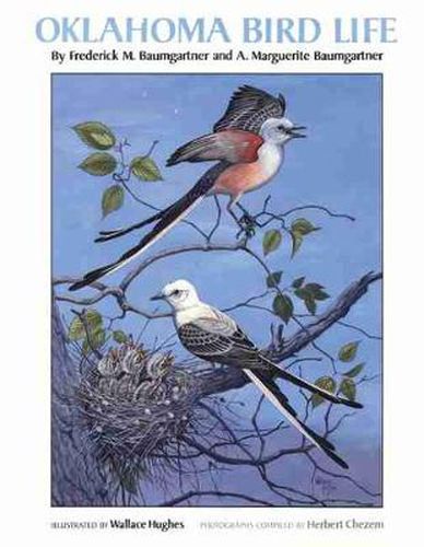 Cover image for Oklahoma Bird Life