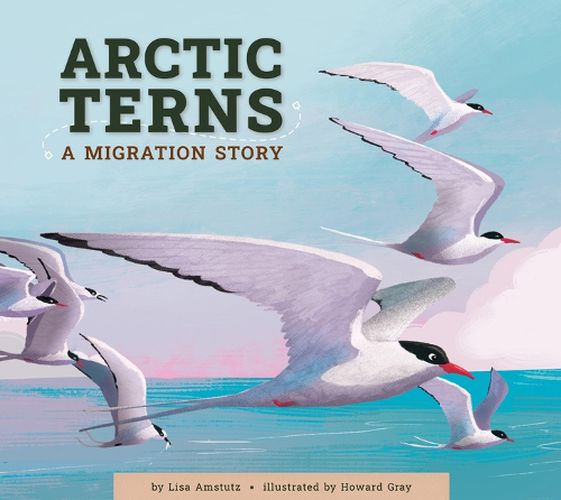 Cover image for Arctic Terns