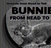 Cover image for Bunnies from Head to Tail