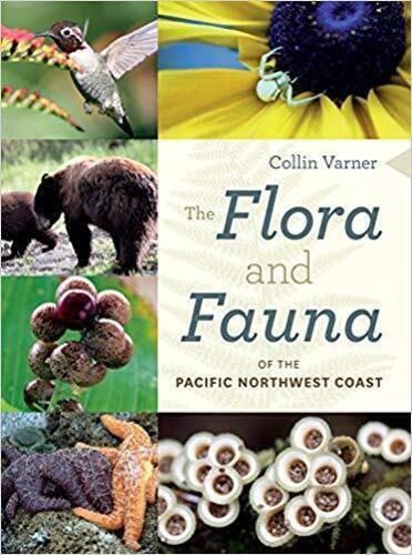 Cover image for The Flora and Fauna of the Pacific Northwest Coast