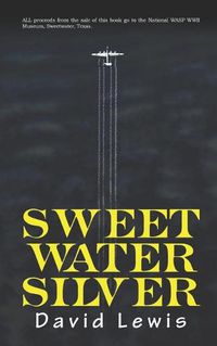 Cover image for Sweetwater Silver
