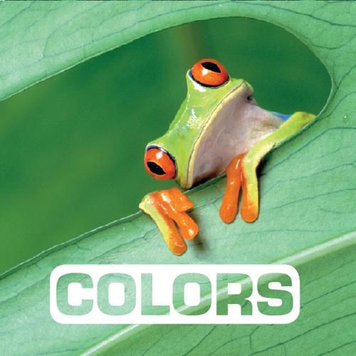 Cover image for Colors: Picture This