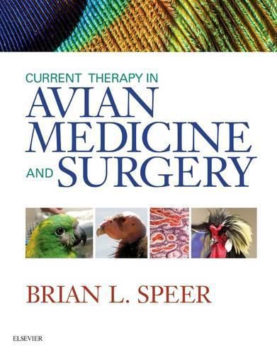 Cover image for Current Therapy in Avian Medicine and Surgery