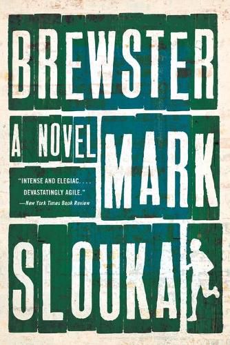 Cover image for Brewster: A Novel