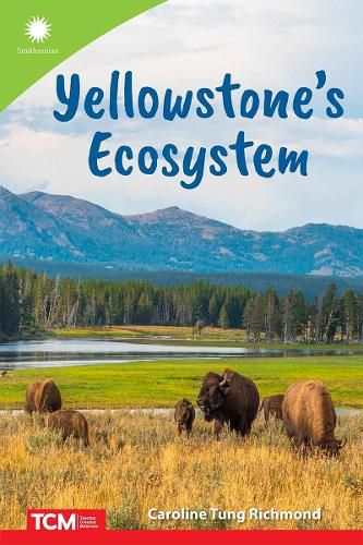 Cover image for Yellowstone's Ecosystem