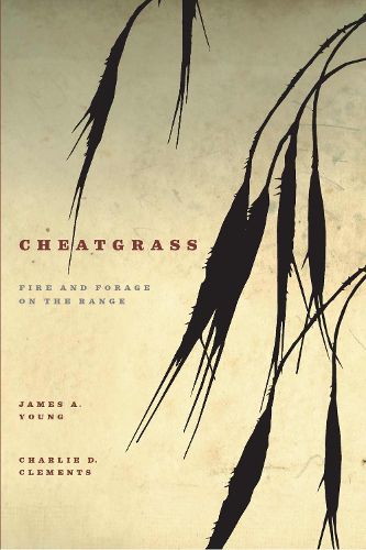 Cover image for Cheatgrass: Fire and Forage on the Range