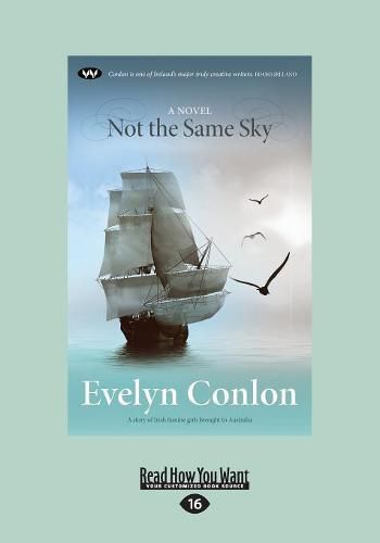 Cover image for Not the Same Sky: A Novel