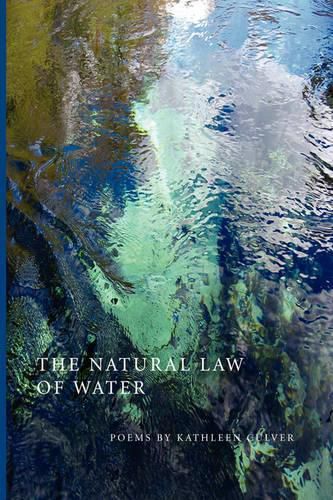 Cover image for The Natural Law of Water