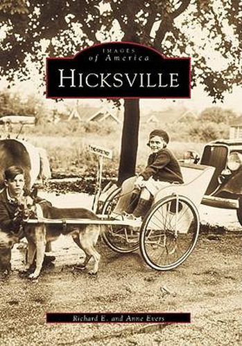 Cover image for Hicksville