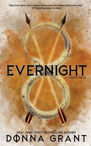 Cover image for Evernight