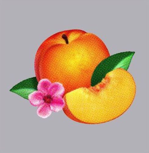 Cover image for Bankrupt!