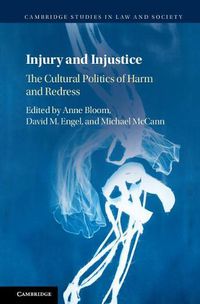 Cover image for Injury and Injustice: The Cultural Politics of Harm and Redress