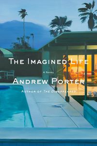 Cover image for The Imagined Life