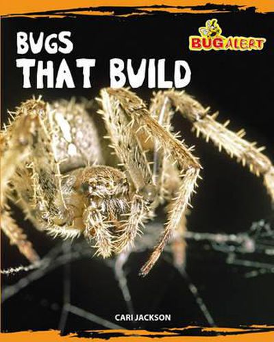 Cover image for Bugs That Build