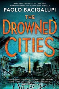 Cover image for The Drowned Cities