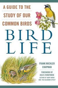 Cover image for Bird Life: A Guide to the Study of Our Common Birds