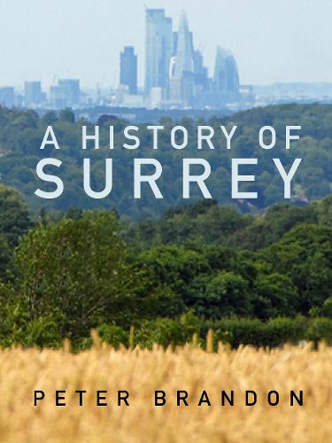 Cover image for A History of Surrey