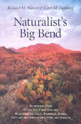 Cover image for Naturalist's Big Bend: An Introduction to the Trees and Shrubs, Wildflowers, Cacti, Mammals, Birds, Reptiles and Amphibians, Fish and Insects