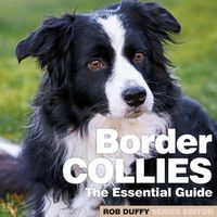 Cover image for Border Collies: The Essential Guide