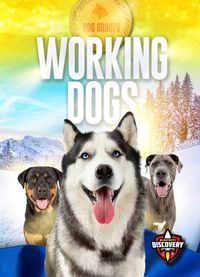 Cover image for Working Dogs