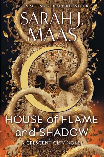 Cover image for House of Flame and Shadow