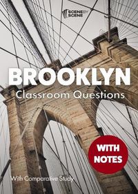 Cover image for Brooklyn Classroom Questions