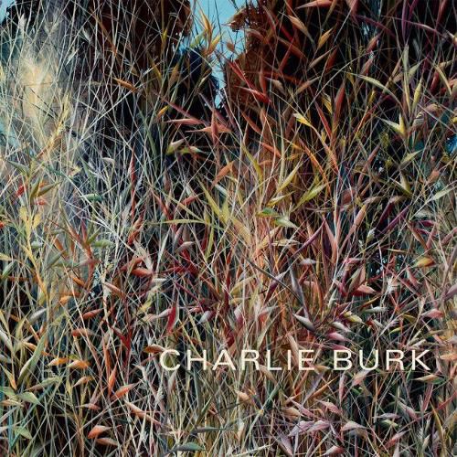 Cover image for Charlie Burk: Journey in Abstraction