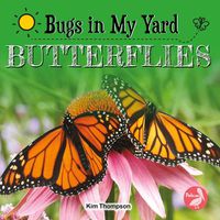 Cover image for Butterflies