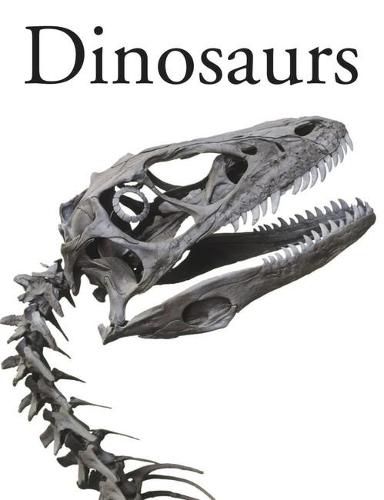 Cover image for Dinosaurs