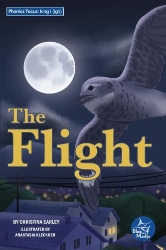 Cover image for The Flight
